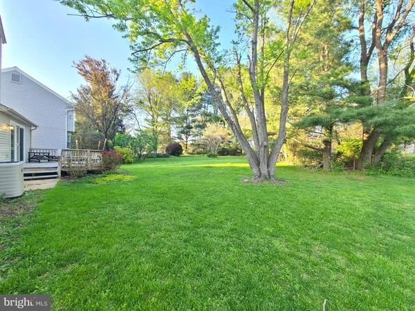 a view of a yard with plants and trees