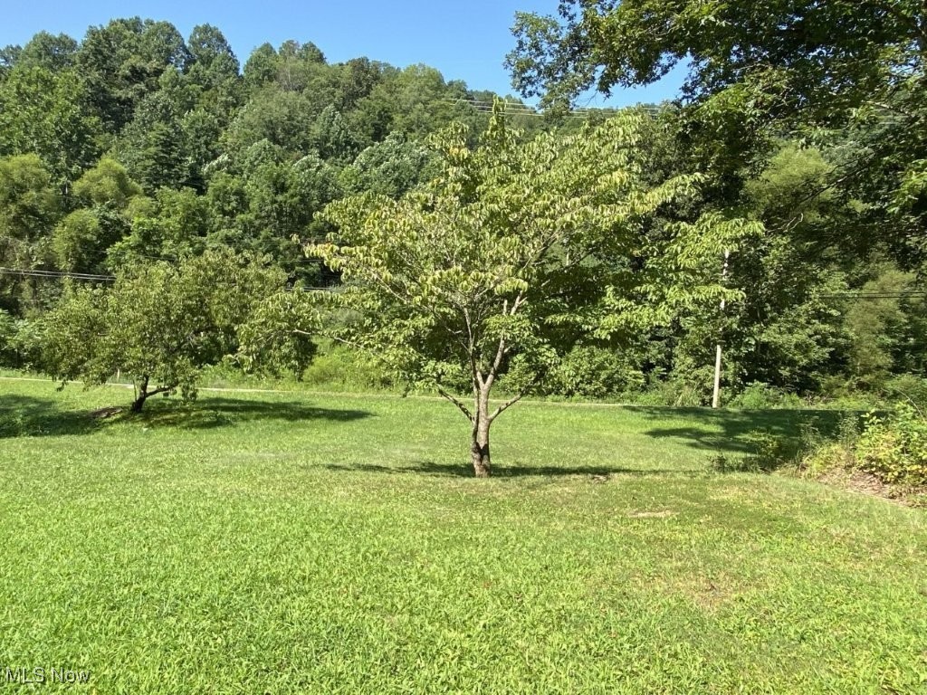 7617 Clay Road Looneyville, WV 25259 - Photo 6 of 31 Gallery Image 6