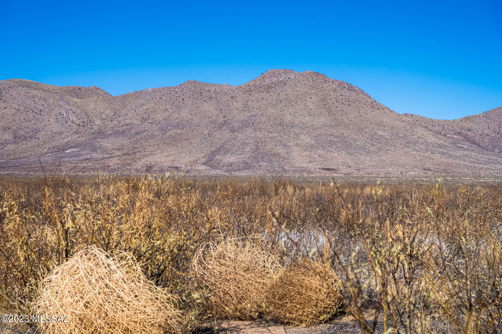 40-acres East Fawn Ranch Road, Unit 32 Pearce, AZ 85625 - Photo 3 of 13