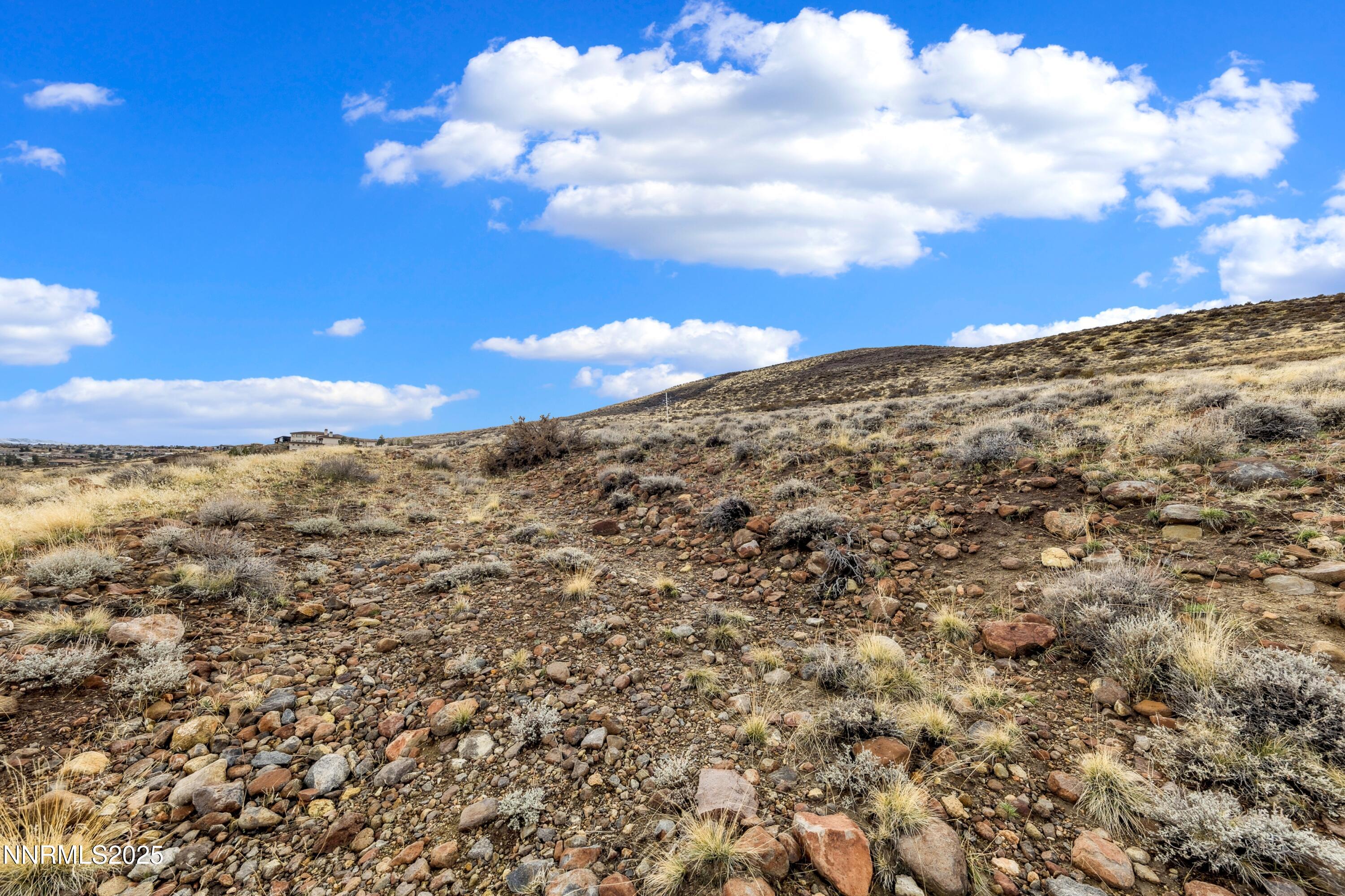 4255 Drop Tine Court Reno, NV 89511 - Photo 9 of 15 a view of a big yard