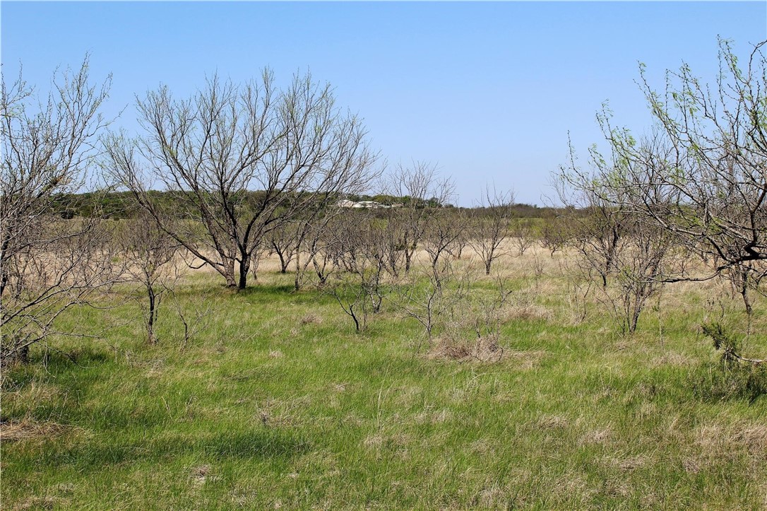 5 County Road 472 Rochelle, TX 76872 - Photo 1 of 1 Gallery Image 1
