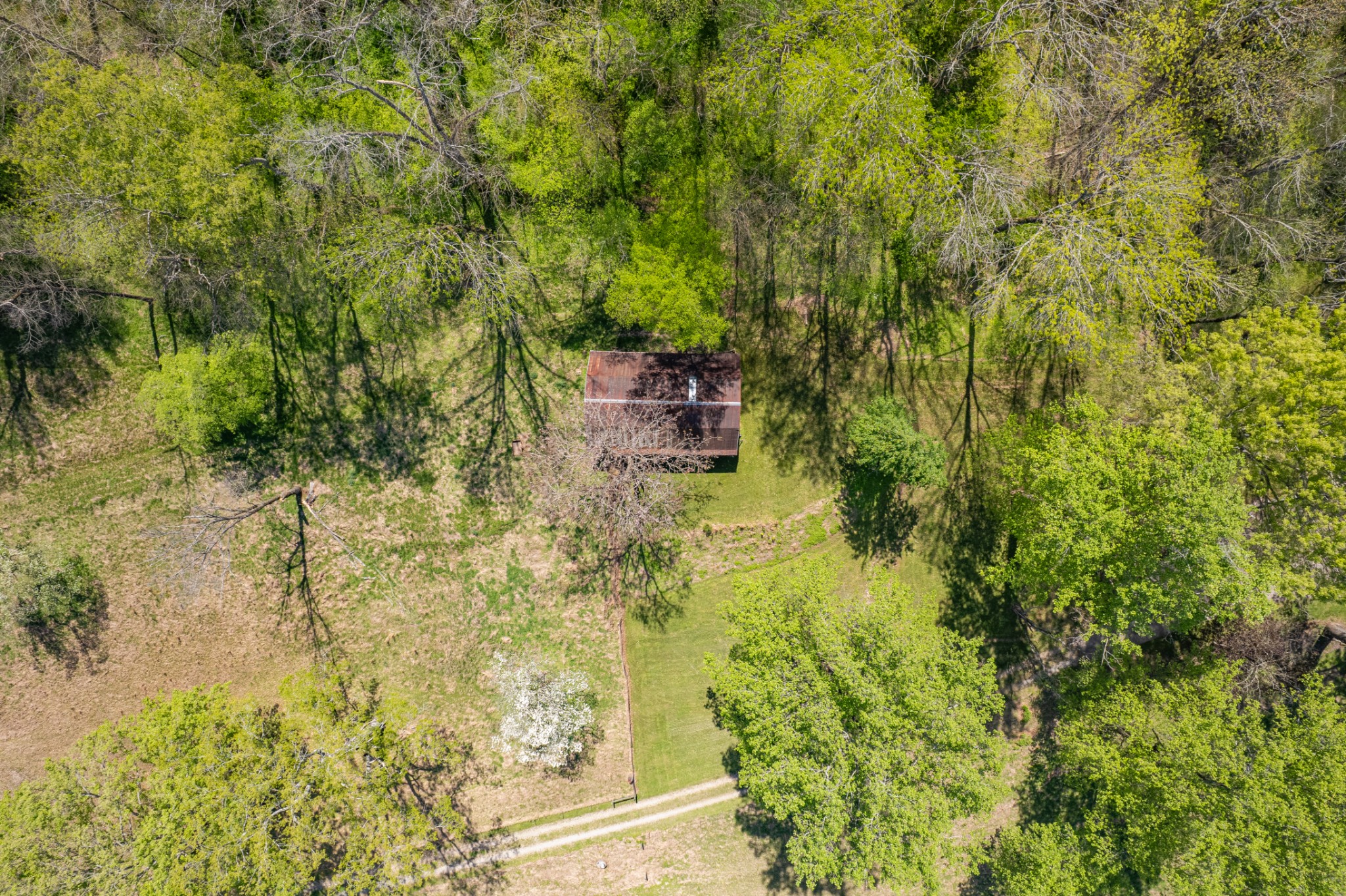 8039 Campbellsville Road Pulaski, TN 38478 - Photo 72 of 100