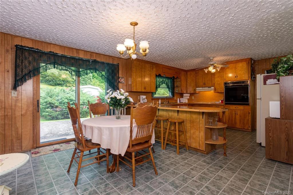 1627 Tanasee Gap Road Balsam Grove, NC 28708 - Photo 24 of 35 Gallery Image 24