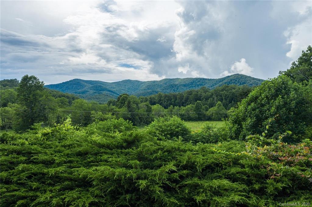 1627 Tanasee Gap Road Balsam Grove, NC 28708 - Photo 10 of 35 Gallery Image 10
