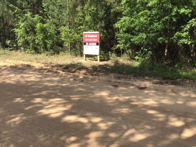 Tbd Red Shadow Road Wagener, SC 29164 - Photo 5 of 11