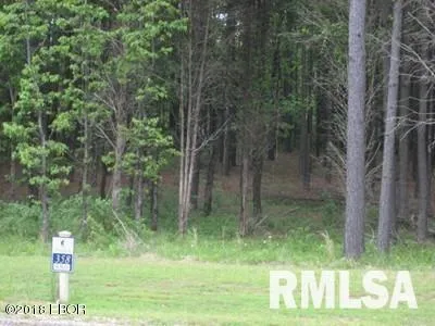 $15,000 | Lot 358 Parrish Ridge Lane, Goreville, IL 62939