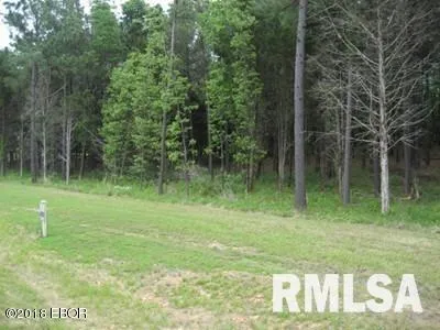 $15,000 | Lot 358 Parrish Ridge Lane, Goreville, IL 62939
