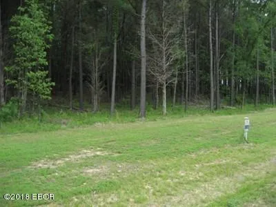 $15,000 | Lot 358 Parrish Ridge Lane, Goreville, IL 62939