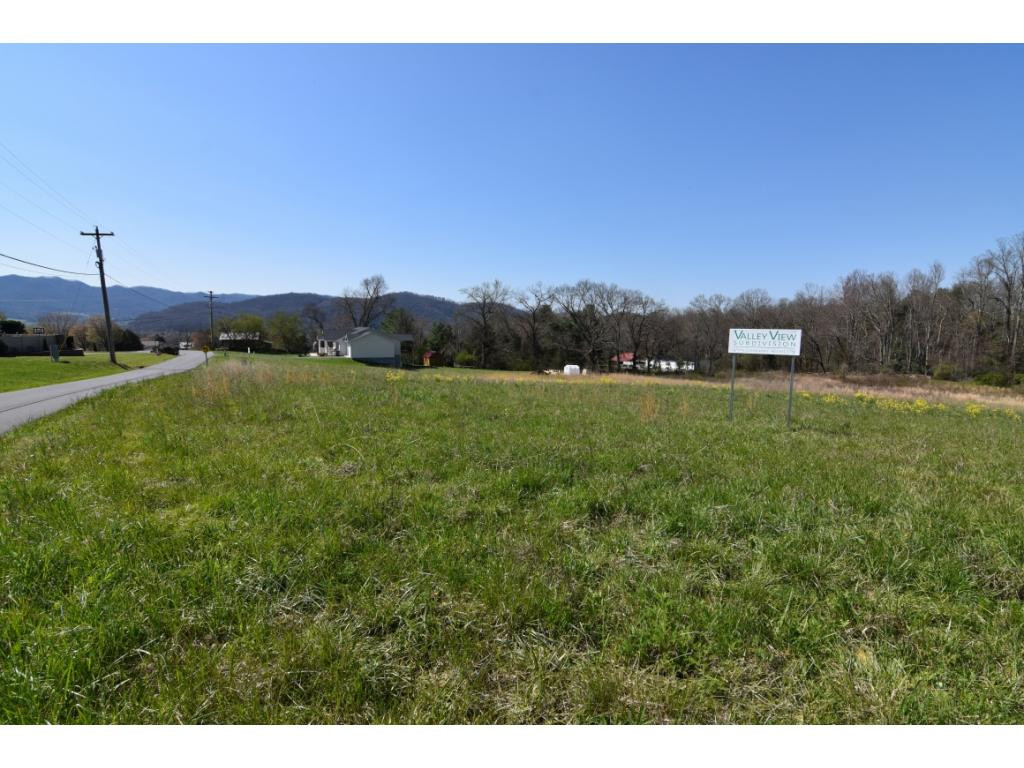 Lot 2 Airport Road Elizabethton, TN 37643 - Photo 2 of 4 Mountain Views