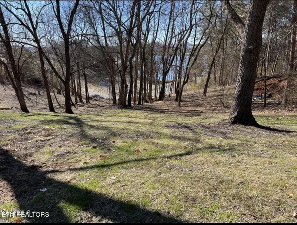 $75,000 | 300 Southshore Drive, Greenback, TN 37742
