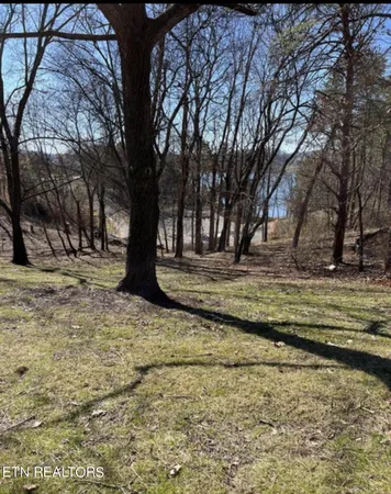 $75,000 | 300 Southshore Drive, Greenback, TN 37742
