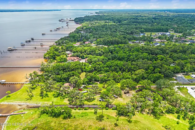 a view of a yard with plants and large trees