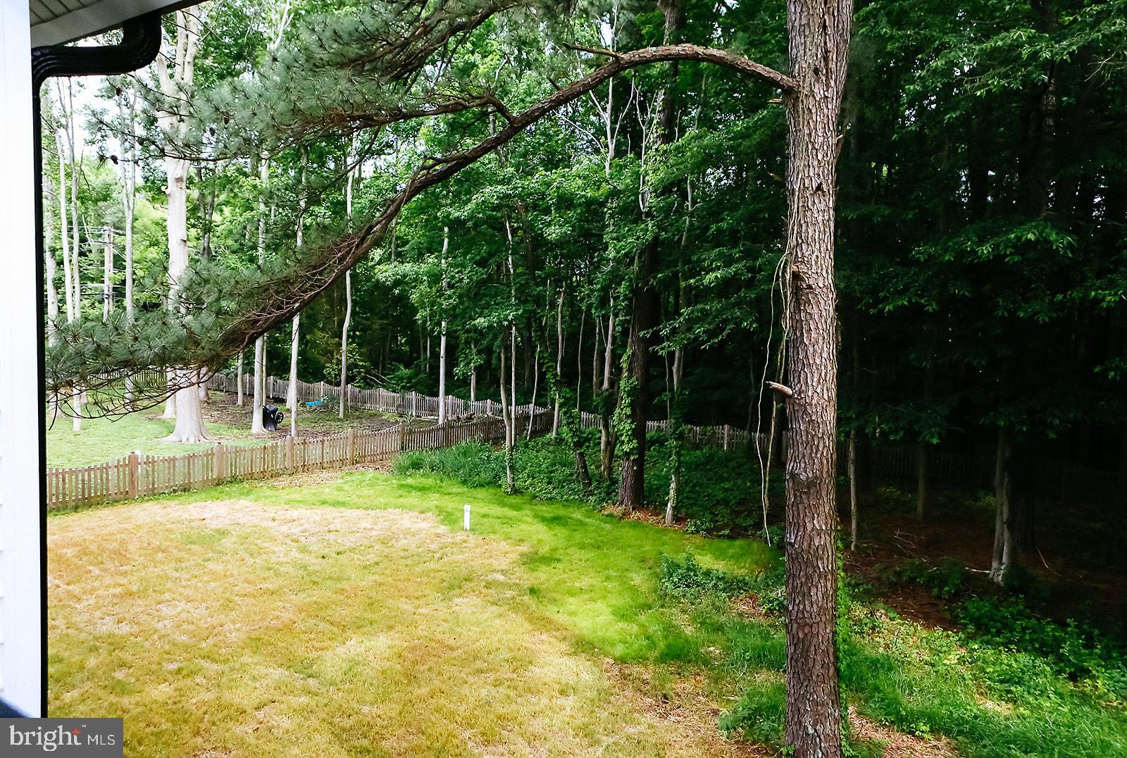 1003 Deale Beach Road Deale, MD 20751 - Photo 133 of 140 Gallery Image 133
