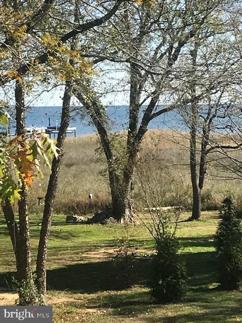 1003 Deale Beach Road Deale, MD 20751 - Photo 4 of 140 View from deck and kitchen window.