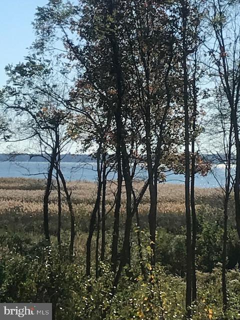 1003 Deale Beach Road Deale, MD 20751 - Photo 6 of 140 View from kitchen window and deck