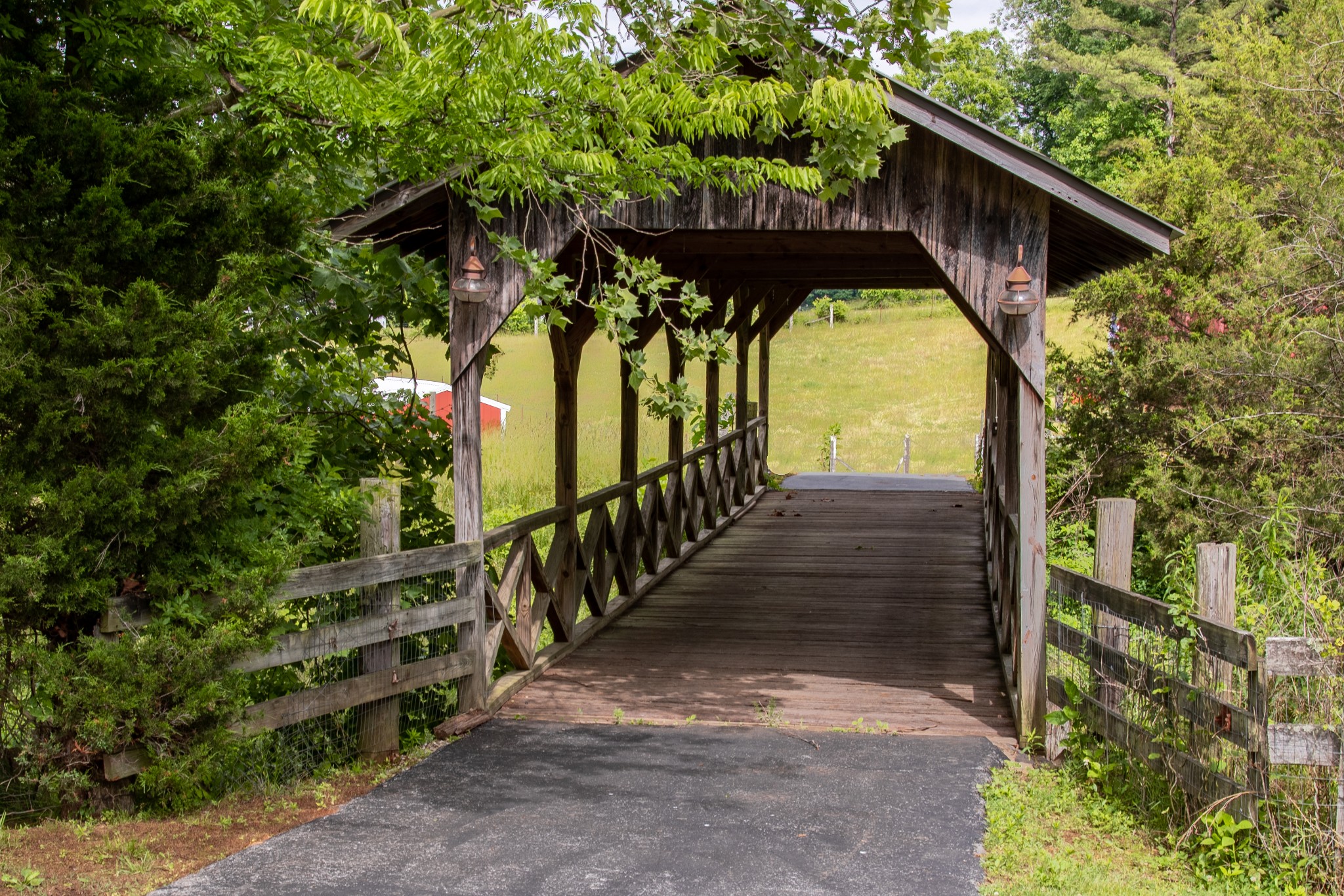 3278 3 Island Road Walling, TN 38587 - Photo 4 of 67 Gallery Image 4