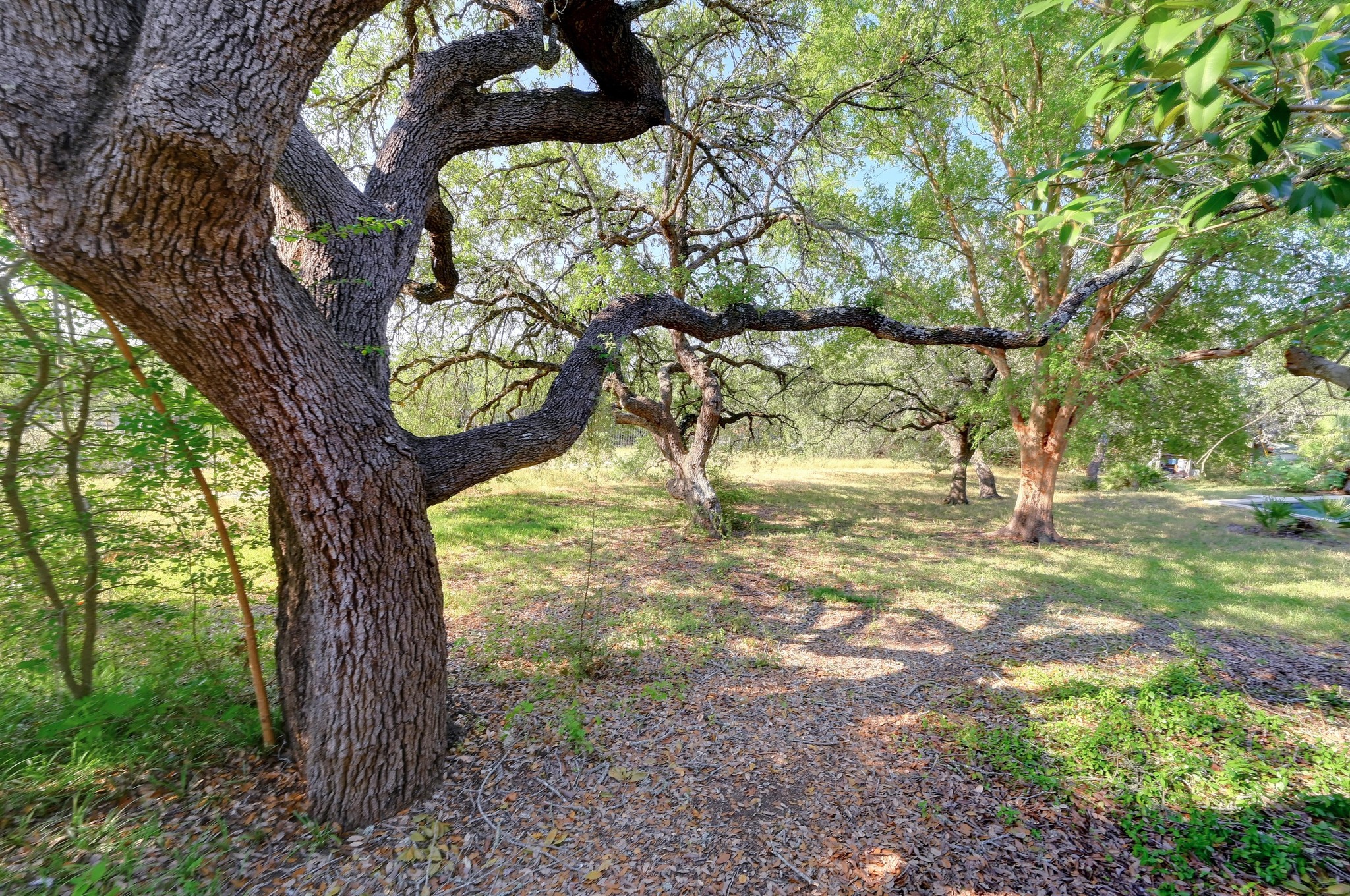 445 Bendigo Lane Wimberley, TX 78676 - Photo 26 of 31