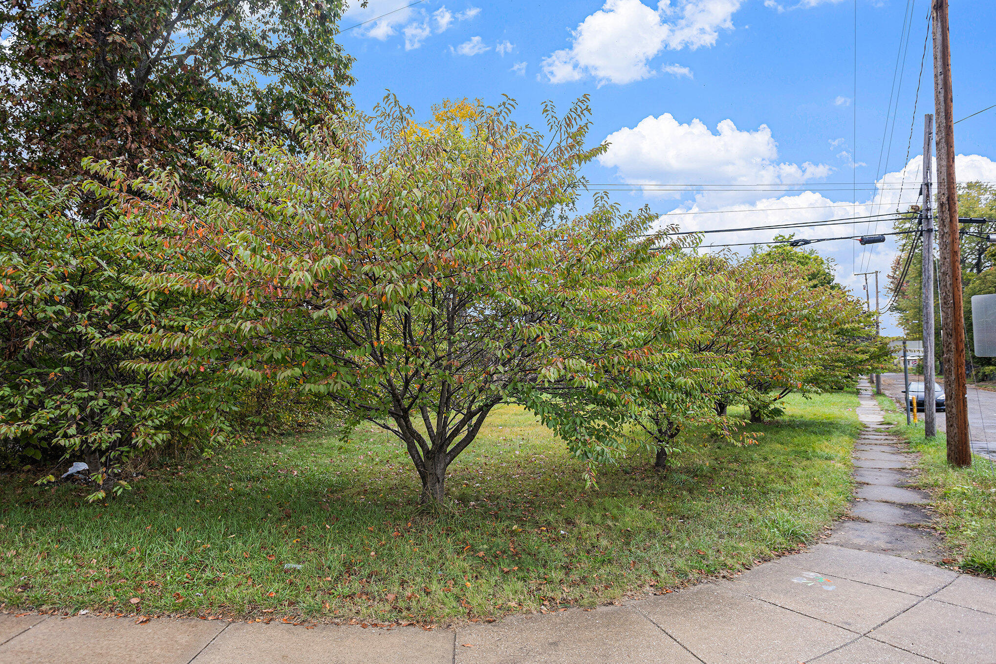108 River Drive Three Rivers, MI 49093 - Photo 3 of 10 003_581a7506_559