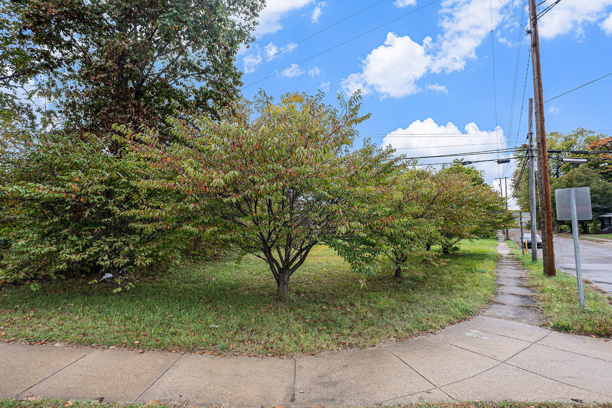 108 River Drive Three Rivers, MI 49093 - Photo 4 of 10 004_581a7507_176