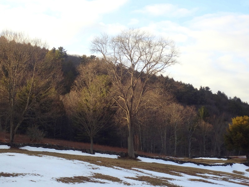 233 W Road Alford, MA 01266 - Photo 14 of 15 winter views