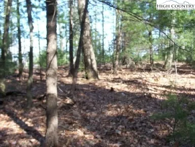 $70,000 | Tbd Lot 177 Tbd Troon Avenue, Thurmond, NC 28683