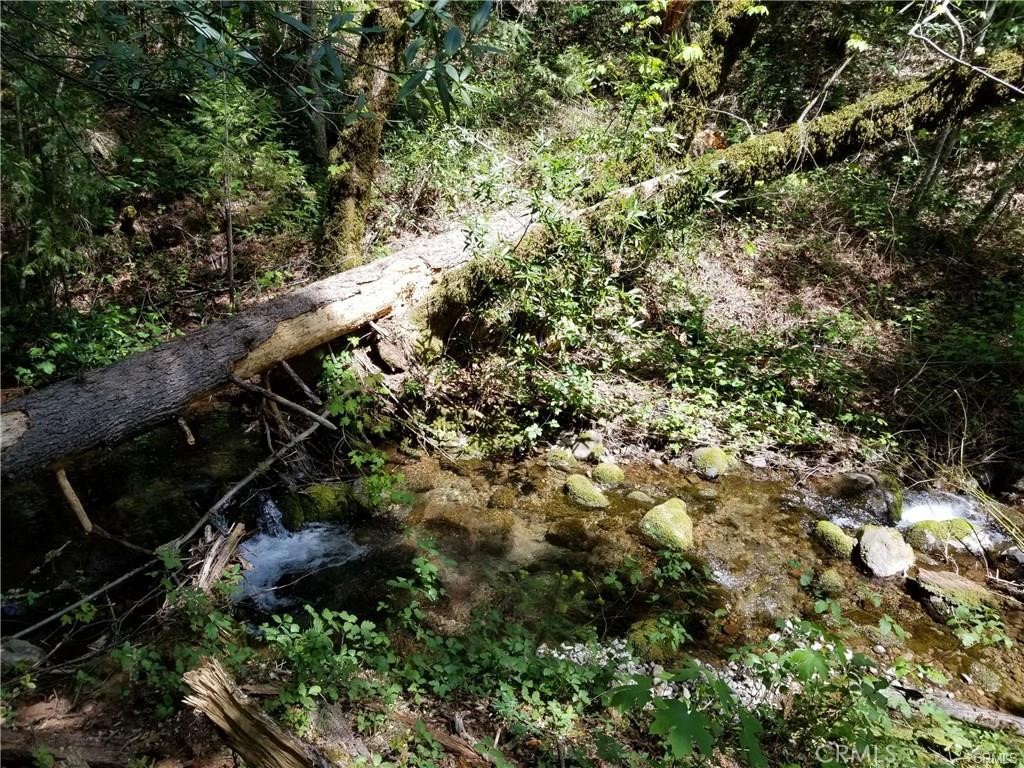 1226 Vilas Road Cohasset, CA 95973 - Photo 2 of 3 Well is located in this vicinity.