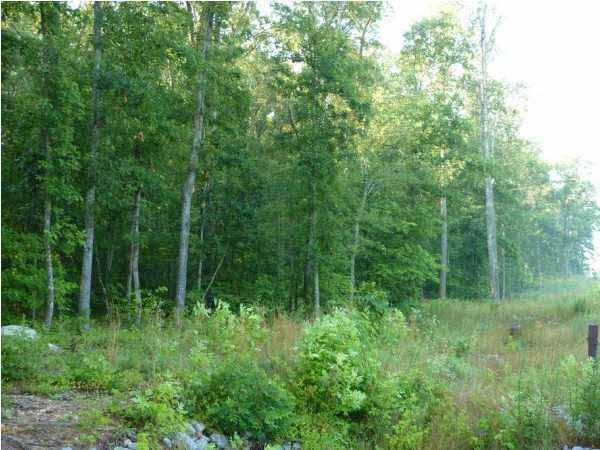 12914 Red Clay Road Apison, TN 37302 - Photo 1 of 1 Gallery Image 1