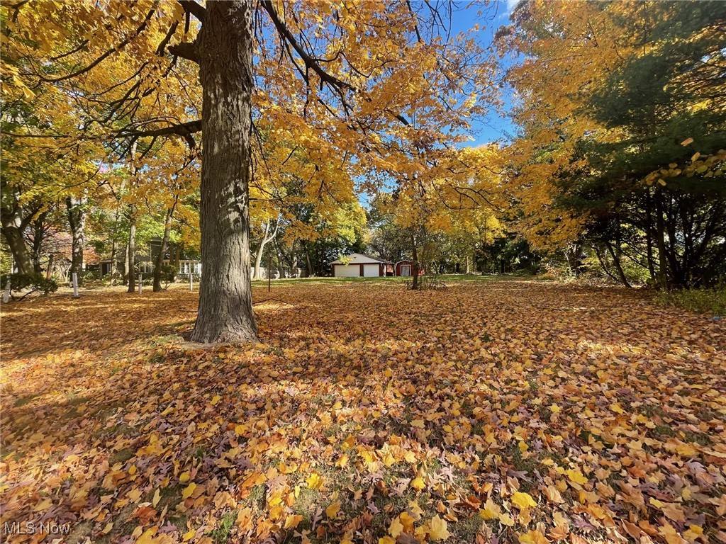 914 Raff Road Southwest Canton, OH 44710 - Photo 4 of 6 Lot surrounded by beautiful trees, 3-car, brick garage and shed