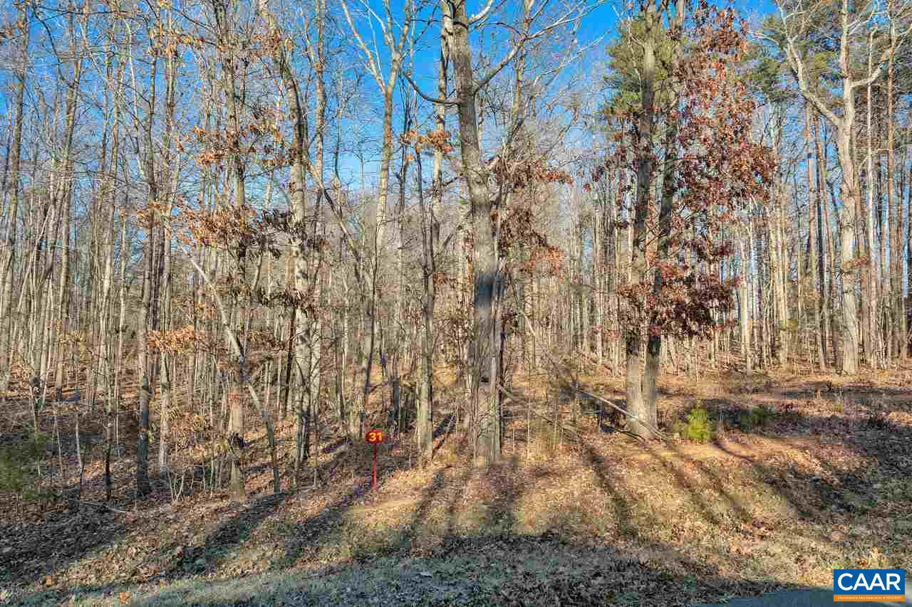 Lot 1 Haden Martin Road Palmyra, VA 22963 - Photo 20 of 30 Gallery Image 20