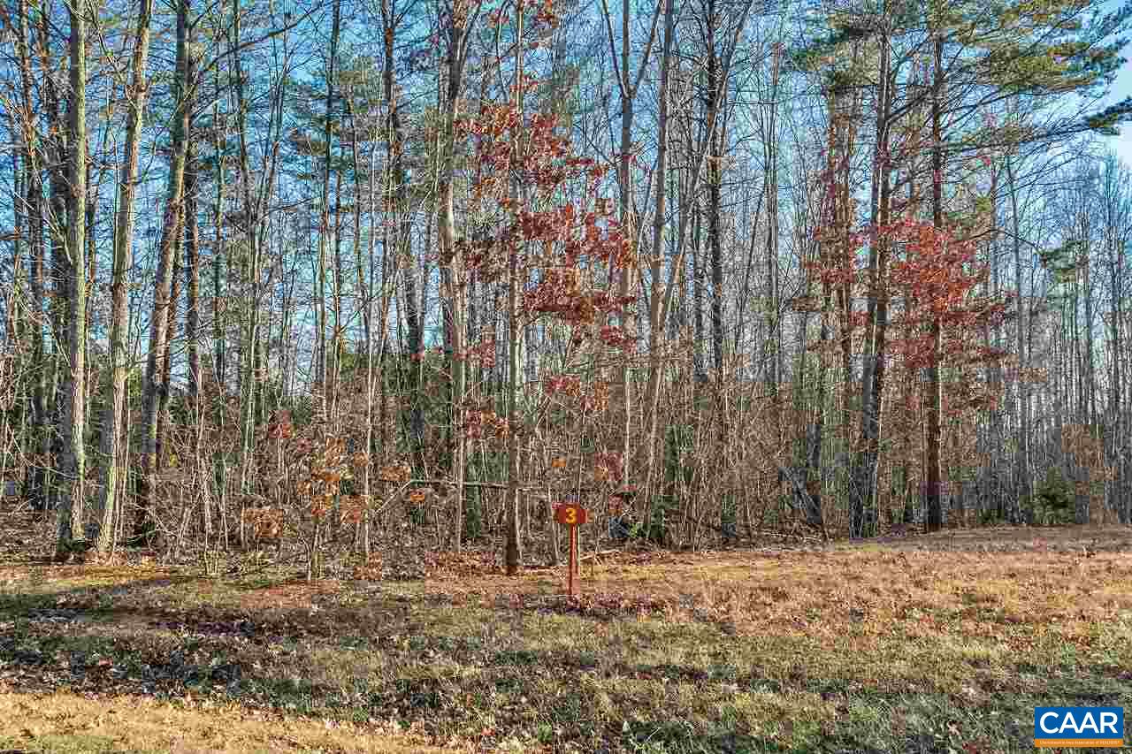 Lot 1 Haden Martin Road Palmyra, VA 22963 - Photo 22 of 30 Gallery Image 22