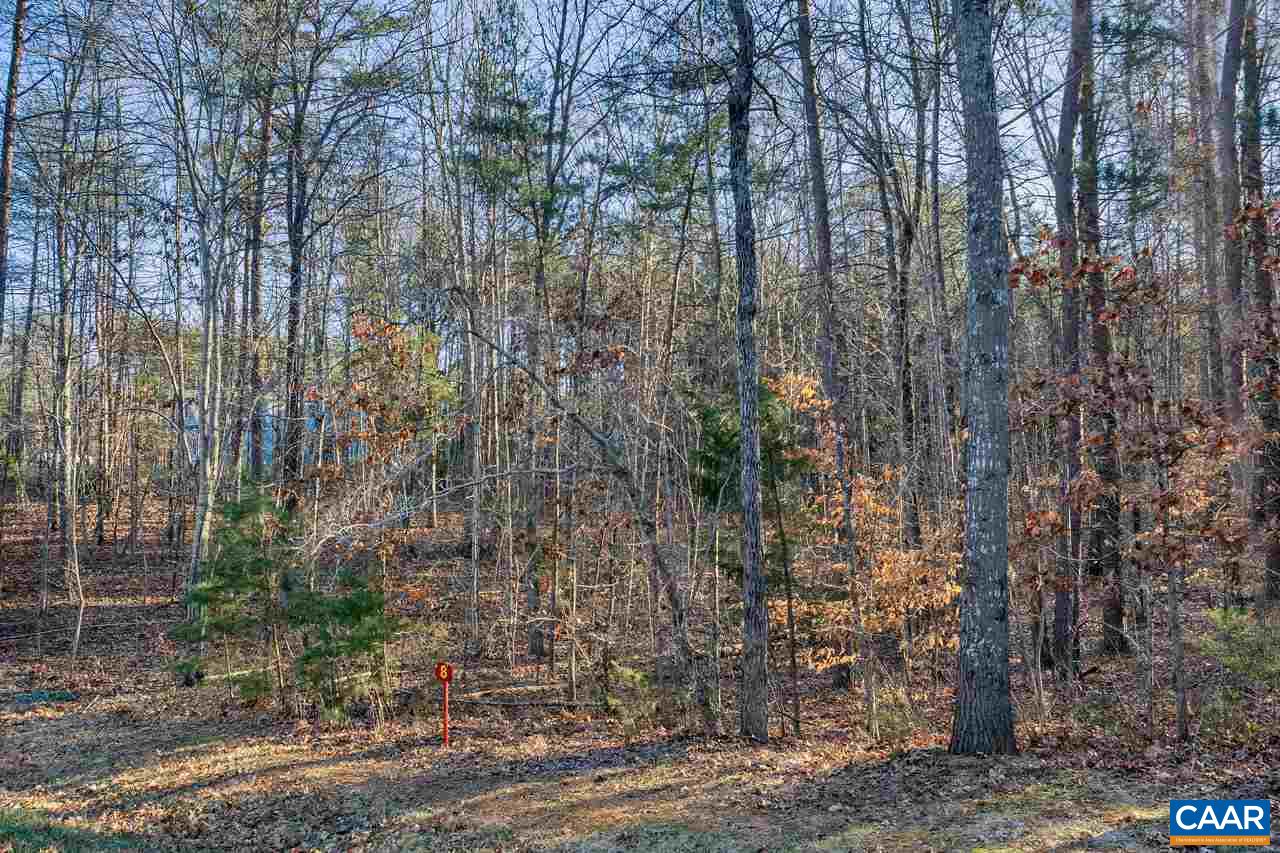 Lot 1 Haden Martin Road Palmyra, VA 22963 - Photo 23 of 30 Gallery Image 23