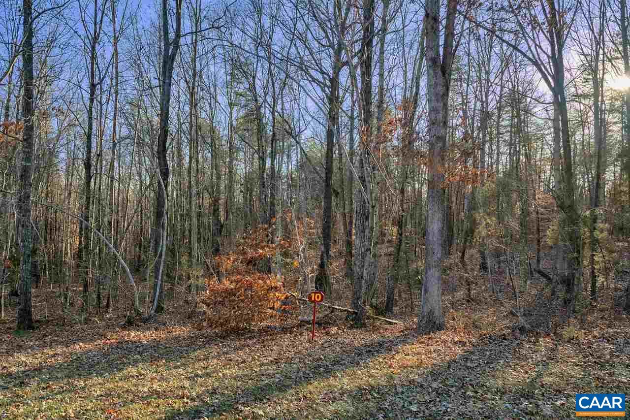 Lot 1 Haden Martin Road Palmyra, VA 22963 - Photo 25 of 30 Gallery Image 25