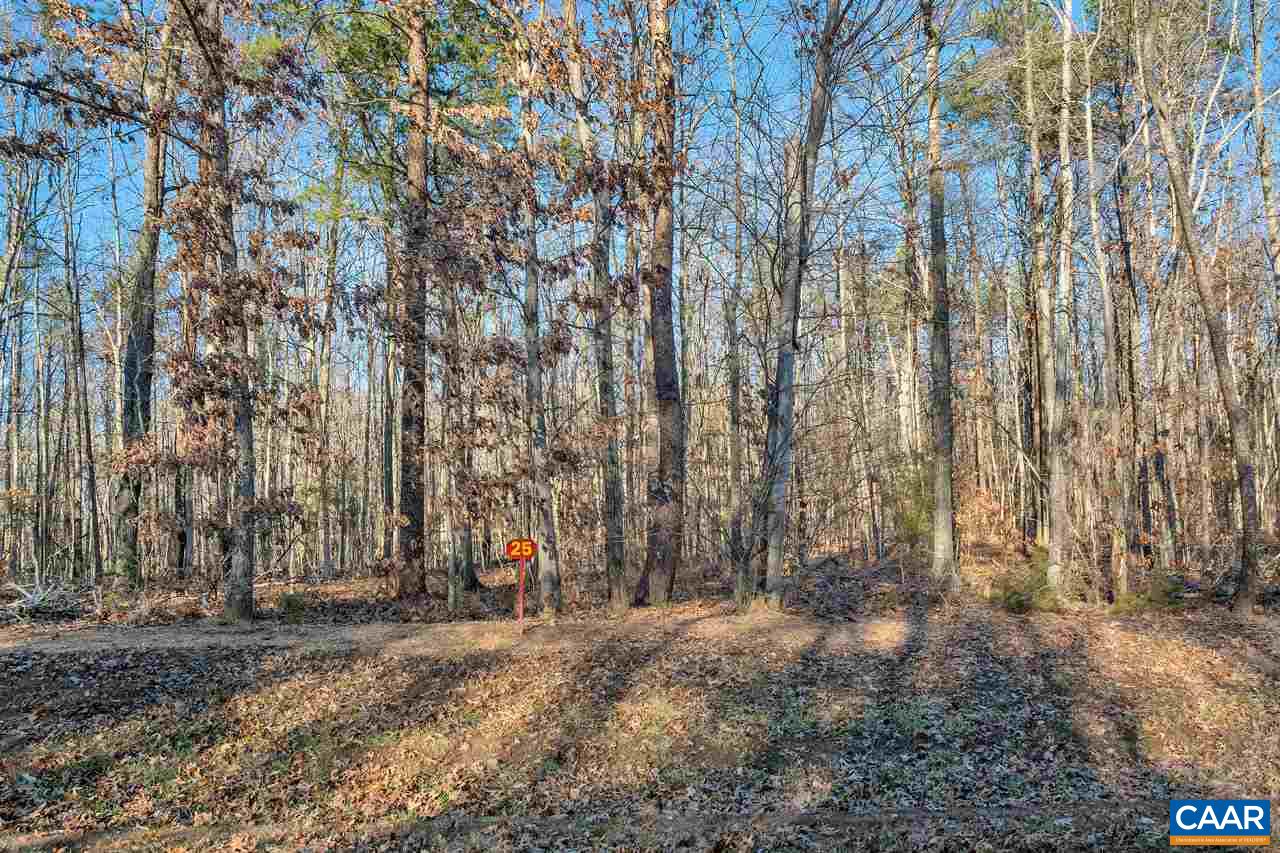 Lot 1 Haden Martin Road Palmyra, VA 22963 - Photo 27 of 30 Gallery Image 27