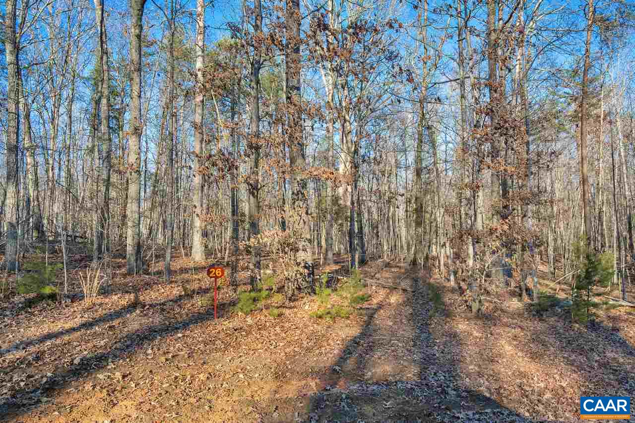 Lot 1 Haden Martin Road Palmyra, VA 22963 - Photo 28 of 30 Gallery Image 28