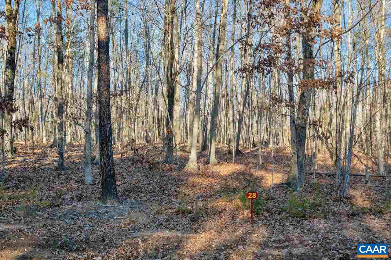 Lot 1 Haden Martin Road Palmyra, VA 22963 - Photo 30 of 30 Gallery Image 30