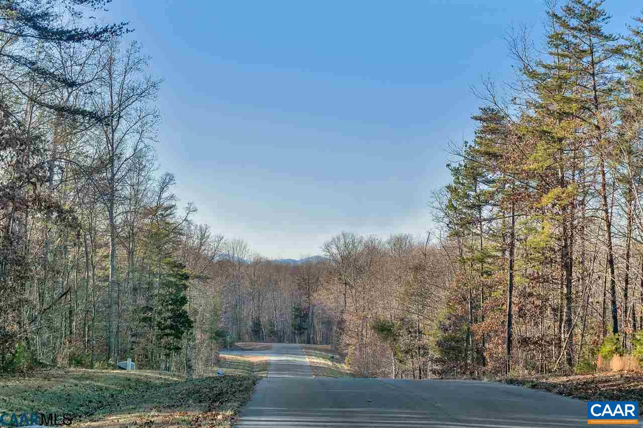 Lot 1 Haden Martin Road Palmyra, VA 22963 - Photo 3 of 30 Gallery Image 3