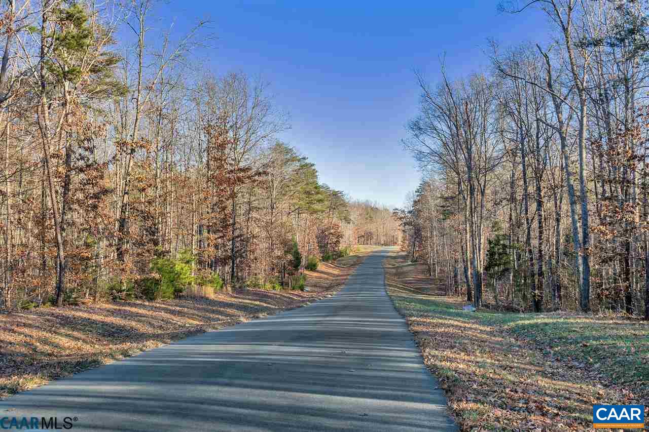 Lot 1 Haden Martin Road Palmyra, VA 22963 - Photo 4 of 30 Gallery Image 4