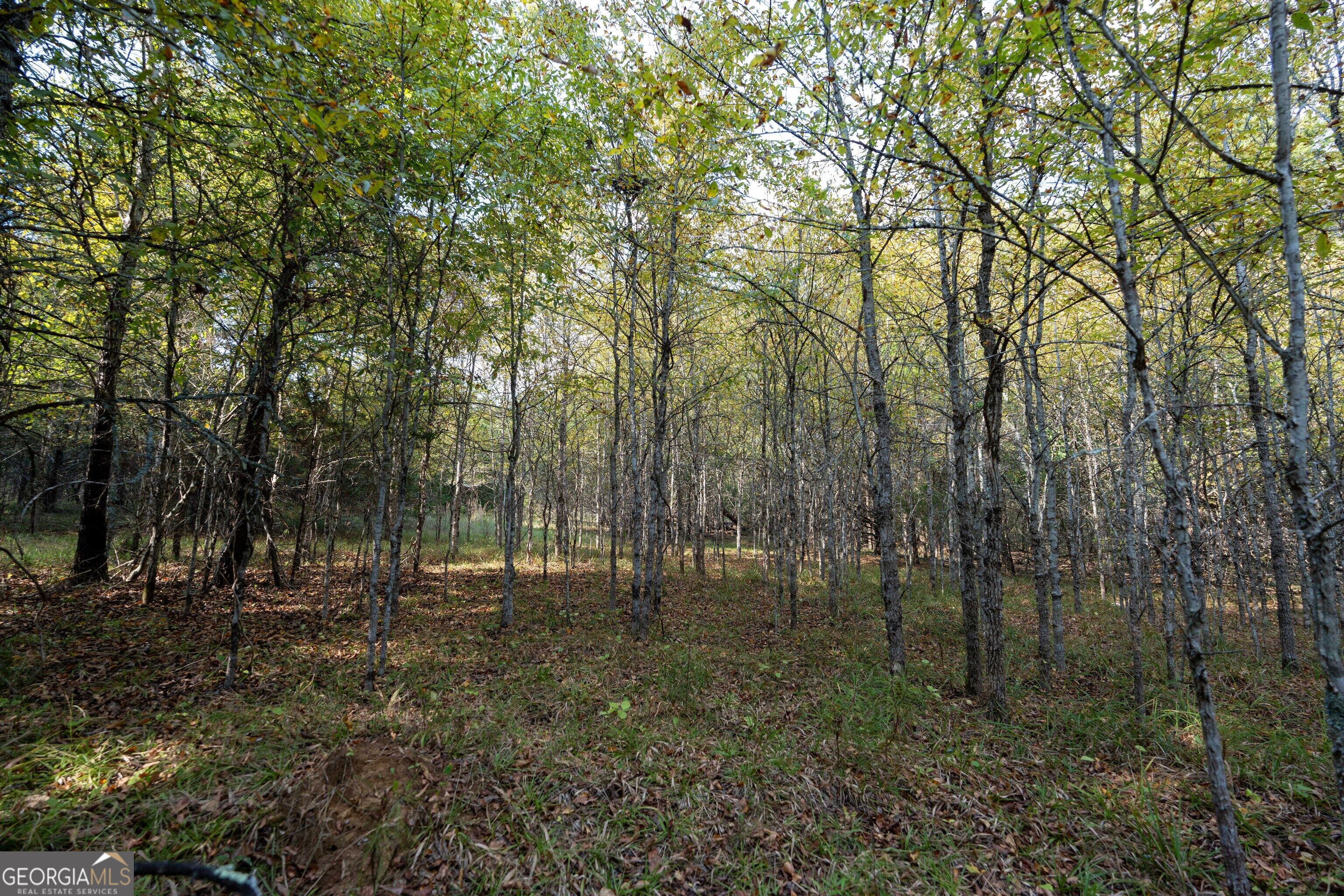 1419 Bobby Brown State Park Road Elberton, GA 30635 - Photo 89 of 90 Gallery Image 89