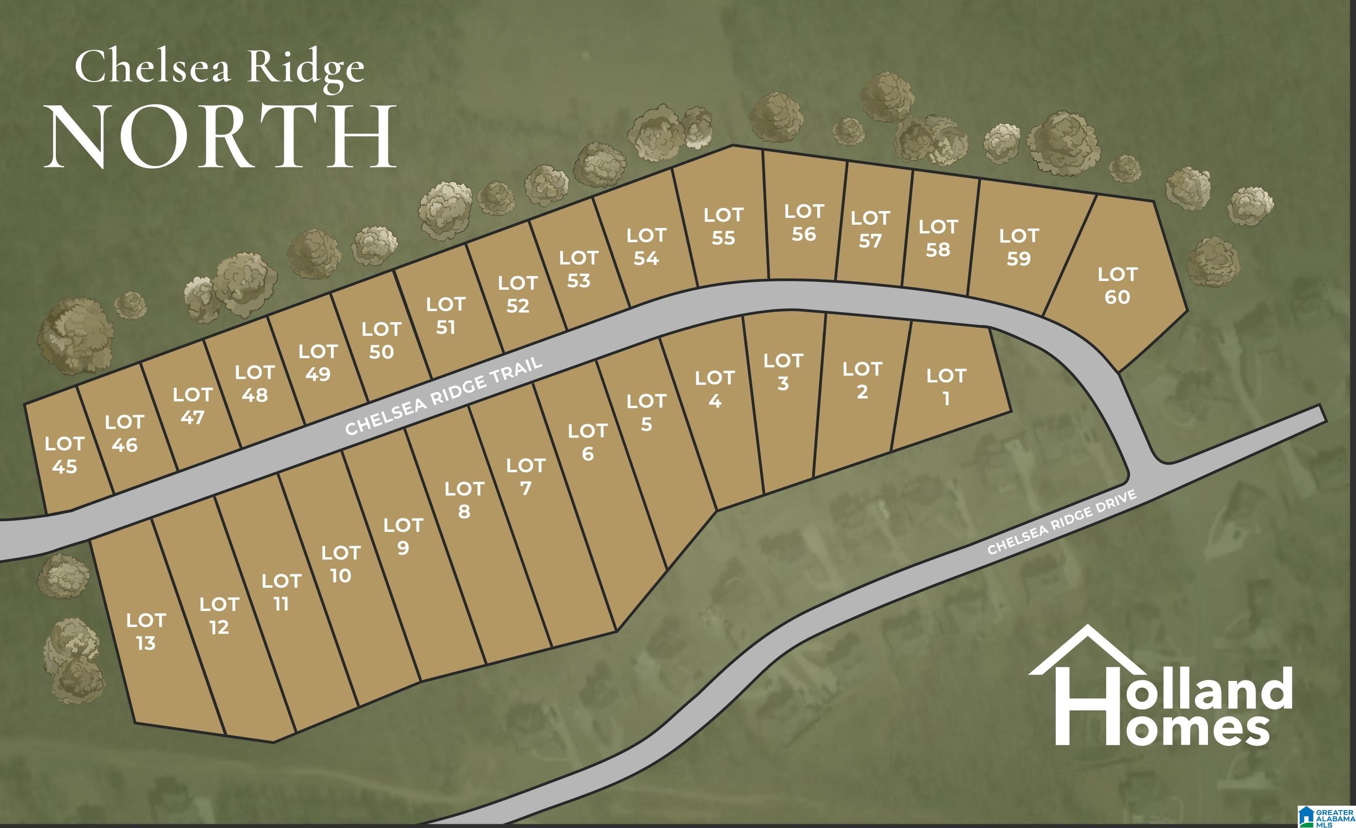 4024 Chelsea Ridge Trail Columbiana, AL 35051 - Photo 26 of 26