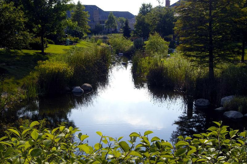 2013 Royal Ridge Drive Northbrook, IL 60062 - Photo 34 of 43 a view of a garden