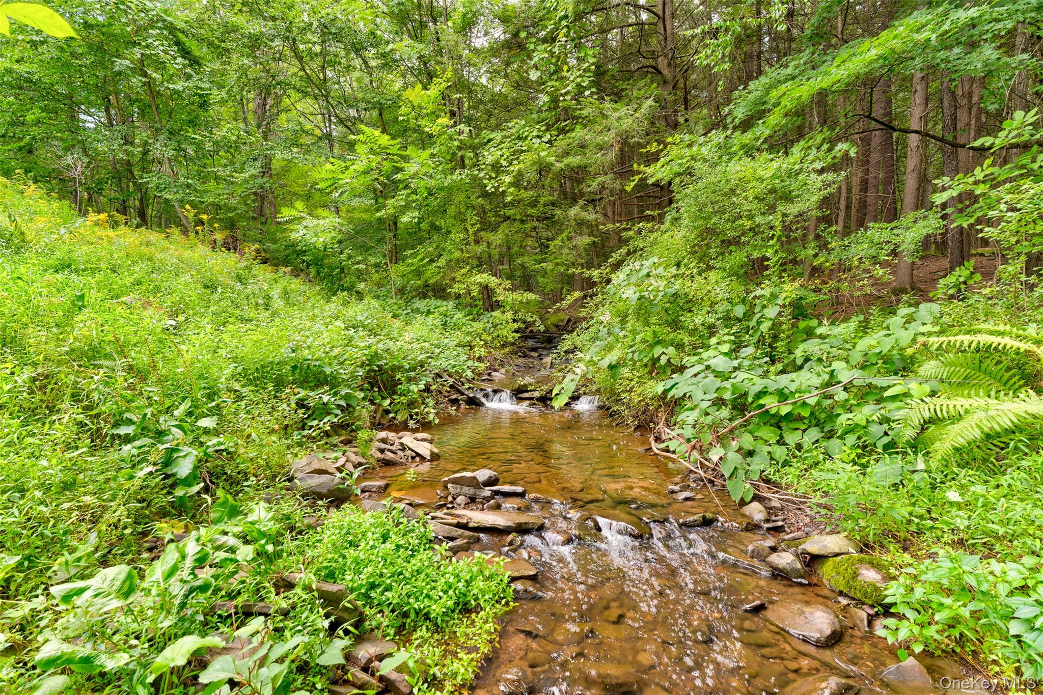 39 Deep Hollow Hill Road Narrowsburg, NY 12764 - Photo 44 of 47 a view of a tree with a yard