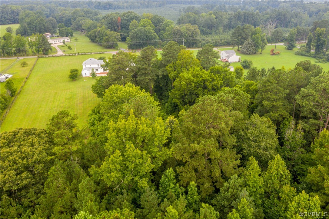 15803 Loving Union Road Disputanta, VA 23842 - Photo 12 of 39 a view of a lake view