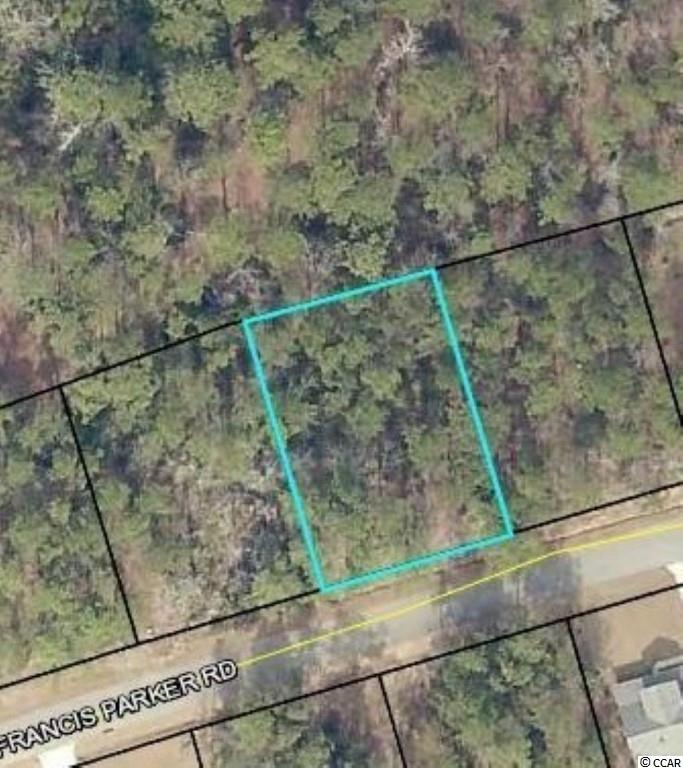 1339 Francis Parker Road Georgetown, SC 29440 - Photo 1 of 1 Gallery Image 1