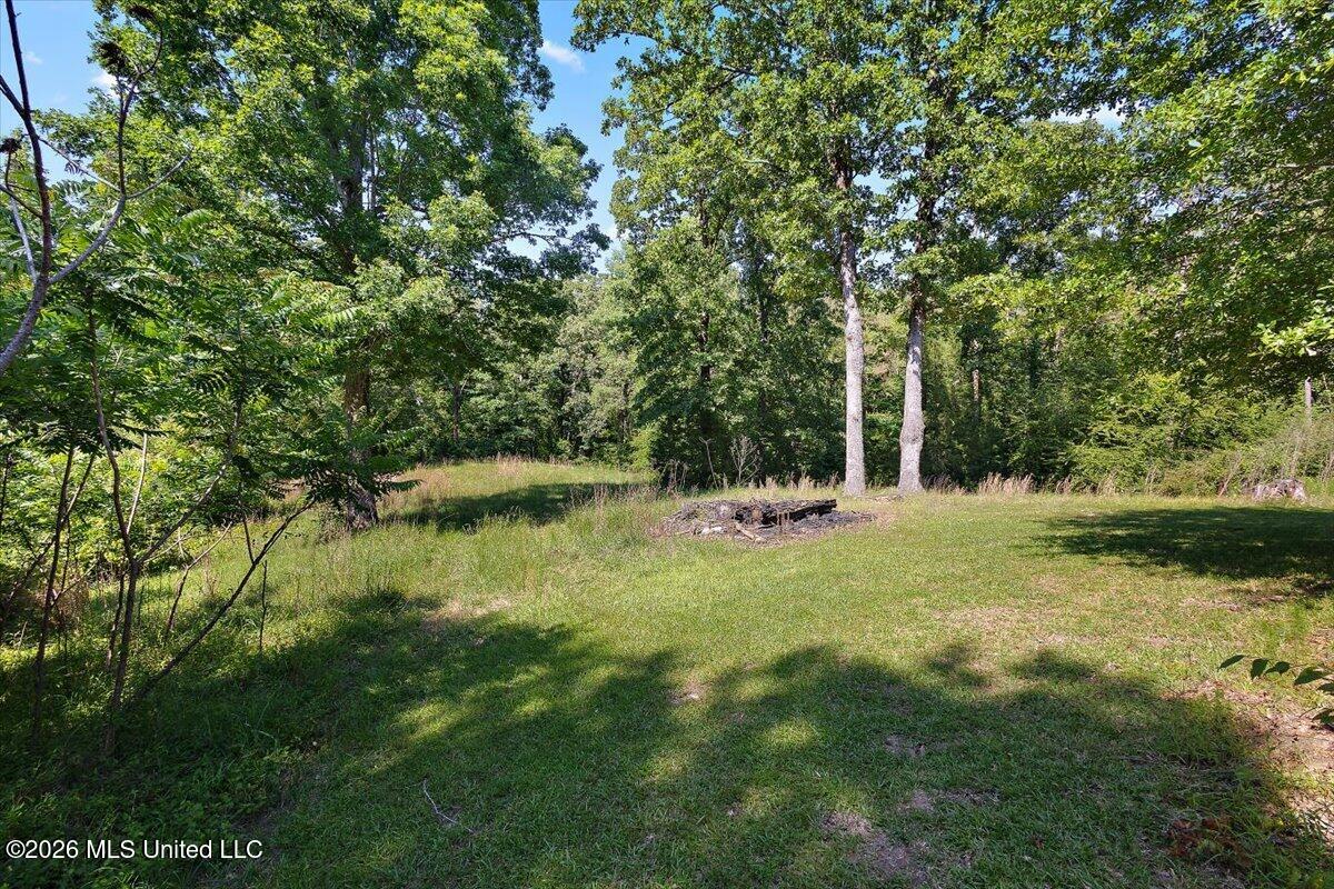 400 Cardinal Lane Carthage, MS 39051 - Photo 21 of 21 21-HTP_4337