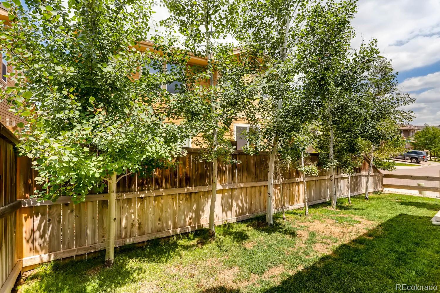 10527 Rutledge Street Parker, CO 80134 - Photo 25 of 35 Gallery Image 25