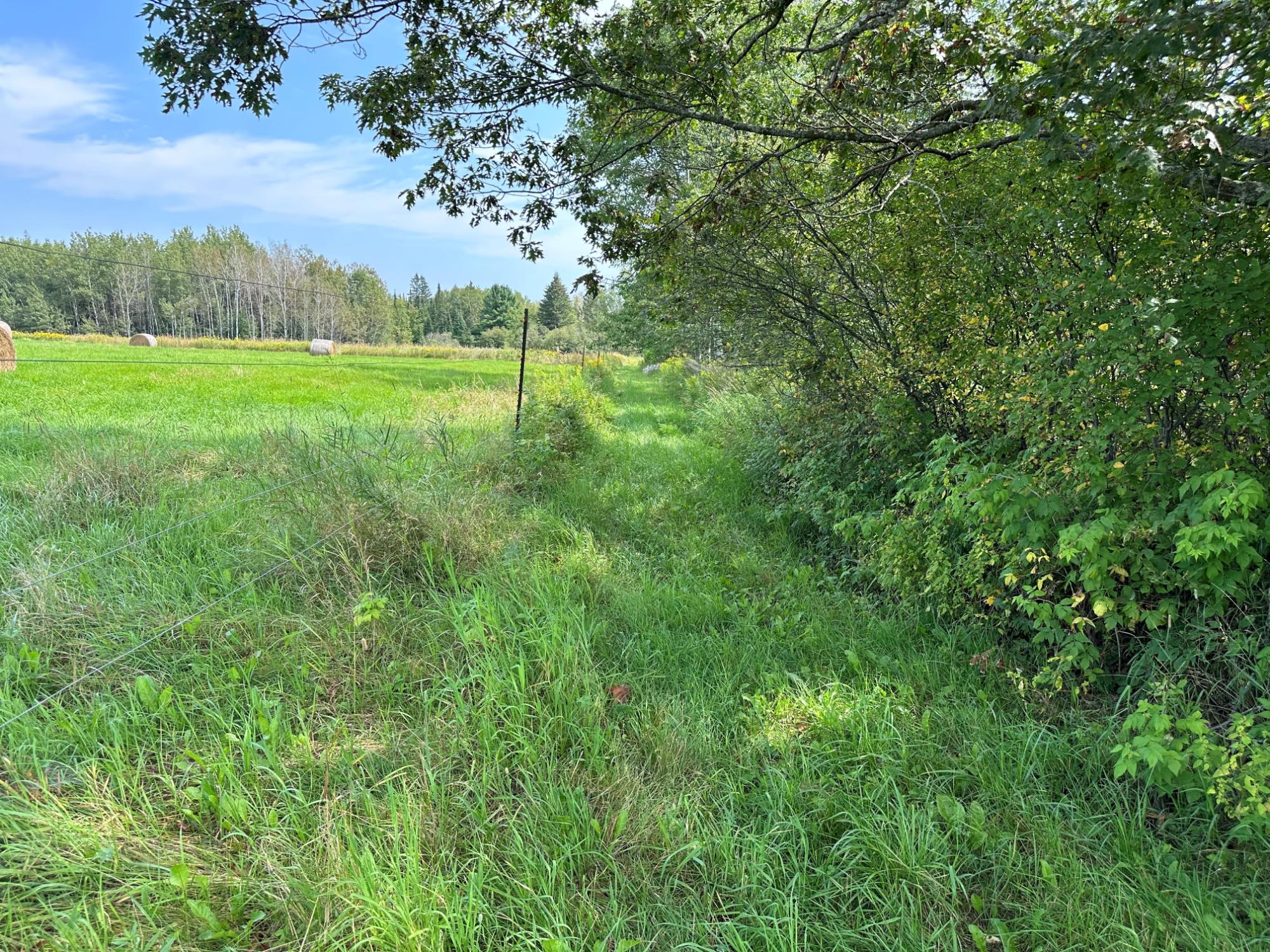 On Stadium Road Brantwood, WI 54513 - Photo 8 of 10