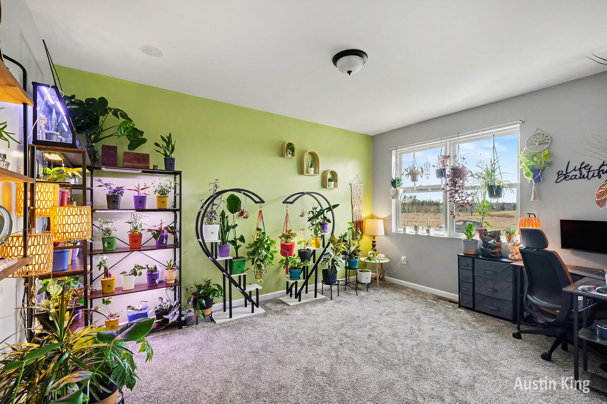 2206 West County Line Road Sand Lake, MI 49343 - Photo 17 of 48 DSCF7741