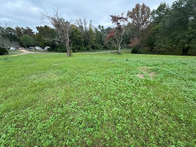 195 Paige Road Empire, AL 35063 - Photo 18 of 22 Gallery Image 18