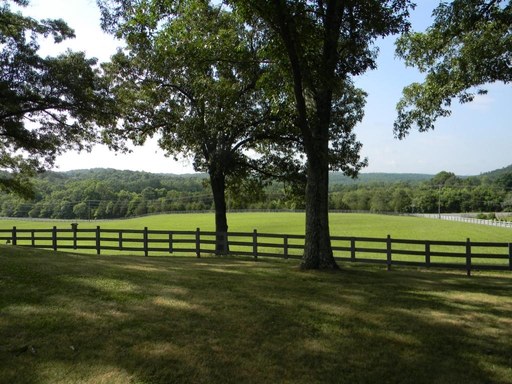 749 Timber Ridge Fincastle, VA 24090 - Photo 48 of 60 Front Yard and Land
