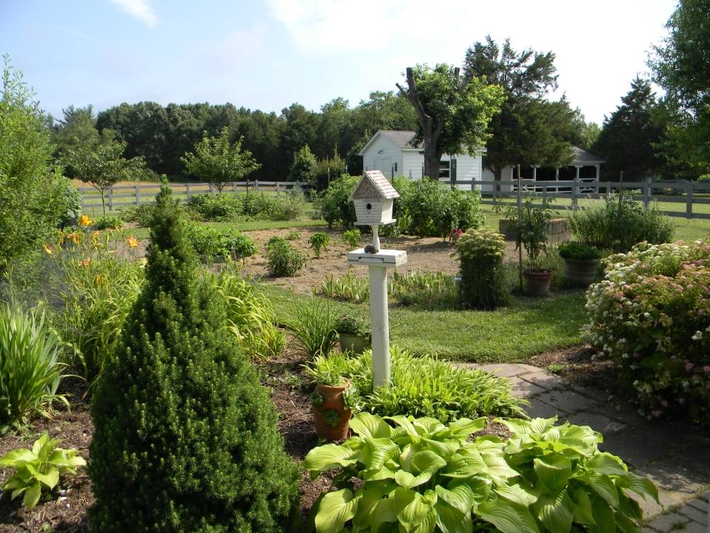749 Timber Ridge Fincastle, VA 24090 - Photo 50 of 60 Garden